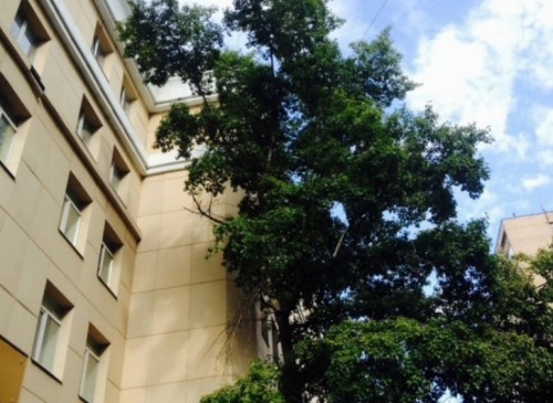 Бизнес-центр "На Большом Трехгорном переулке 11с2" – фото объекта